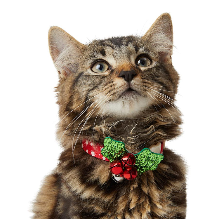 Sparkle Holly Cat Collar Slider – Festive Holiday Accessory