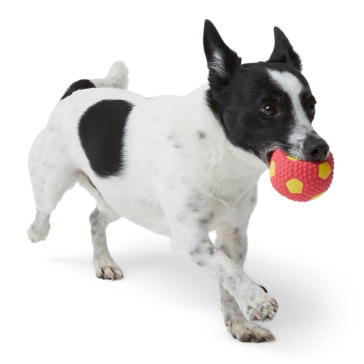 Latex Squeaky Ball for Small Dogs – Fun & Durable Pet Toy