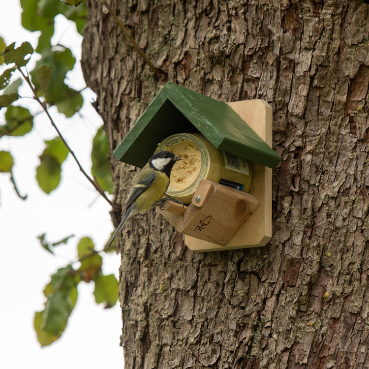 National Trust Dublin Wild Bird Peanut Butter Feeder – Stylish Hanging Feeder