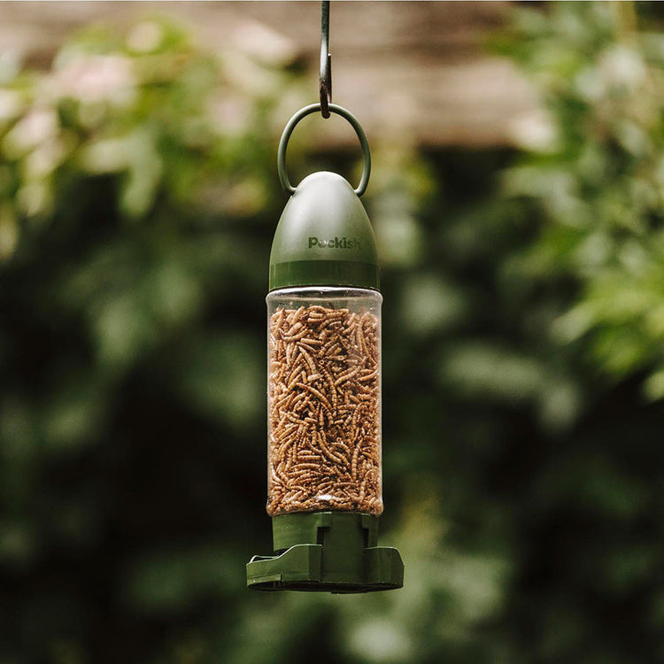 Peckish Mealworm Filled Wild Bird Feeder – 90g Ready-to-Hang Feeder